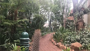 Un chemin pavé, bordé de différentes plantes et arbres, mène à l’entrée d’un bâtiment.