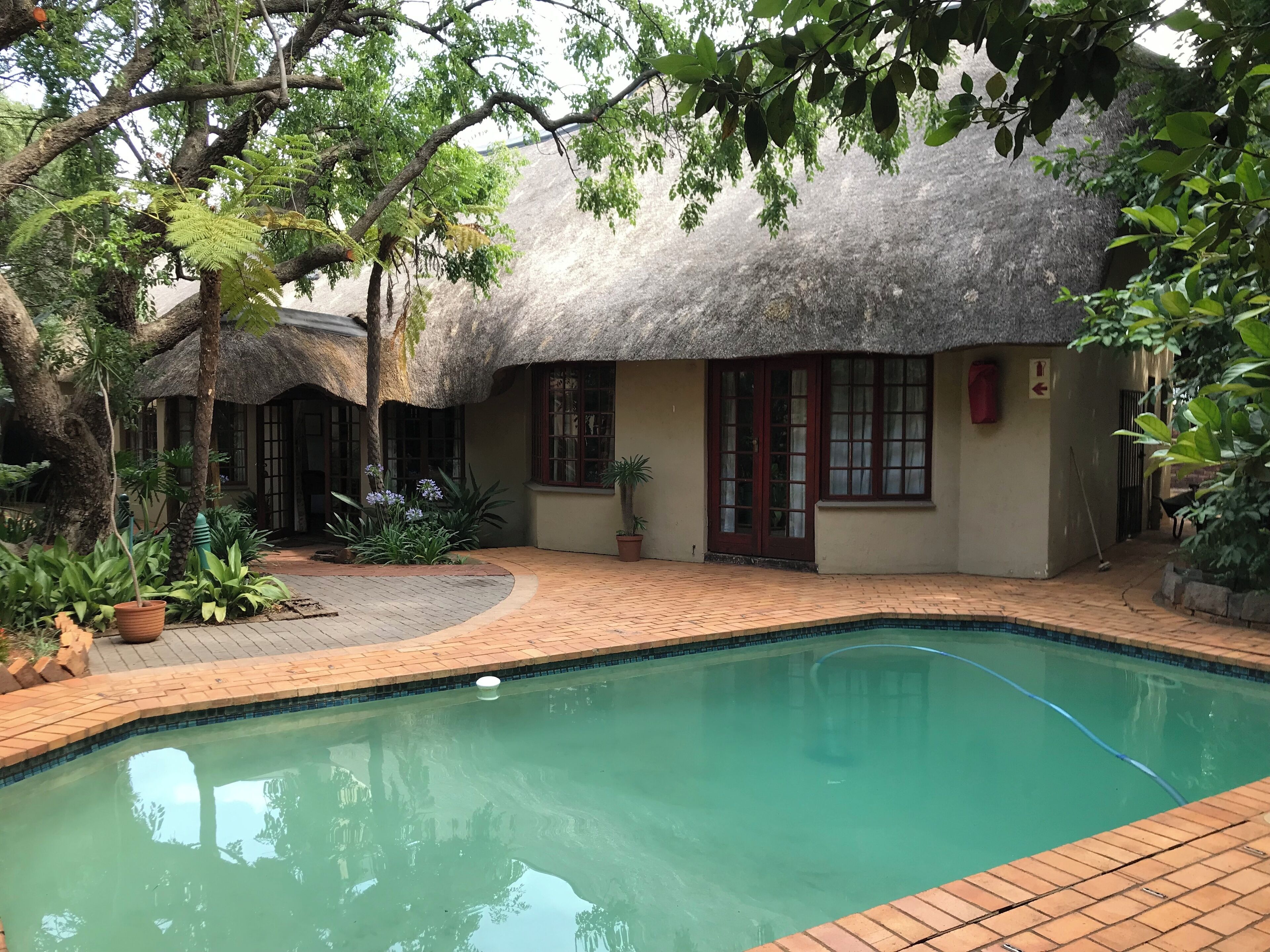 A thatched-roof house with a swimming pool, surrounded by lush greenery and potted plants.