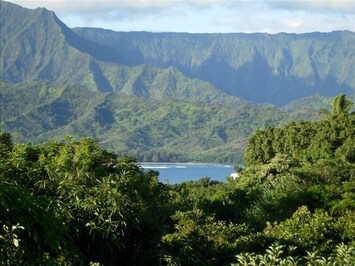 This is the actual view from the upstairs lanai!