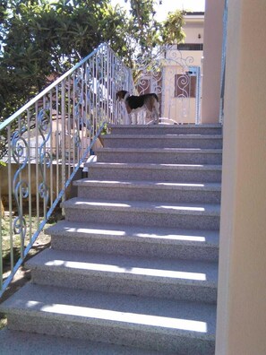 Treppe