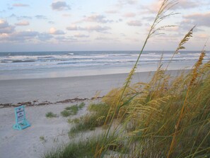 Playa