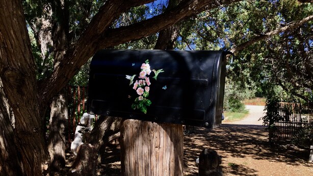 Una cassetta delle lettere con decorazioni floreali, fissata a un palo di legno in una zona boschiva.