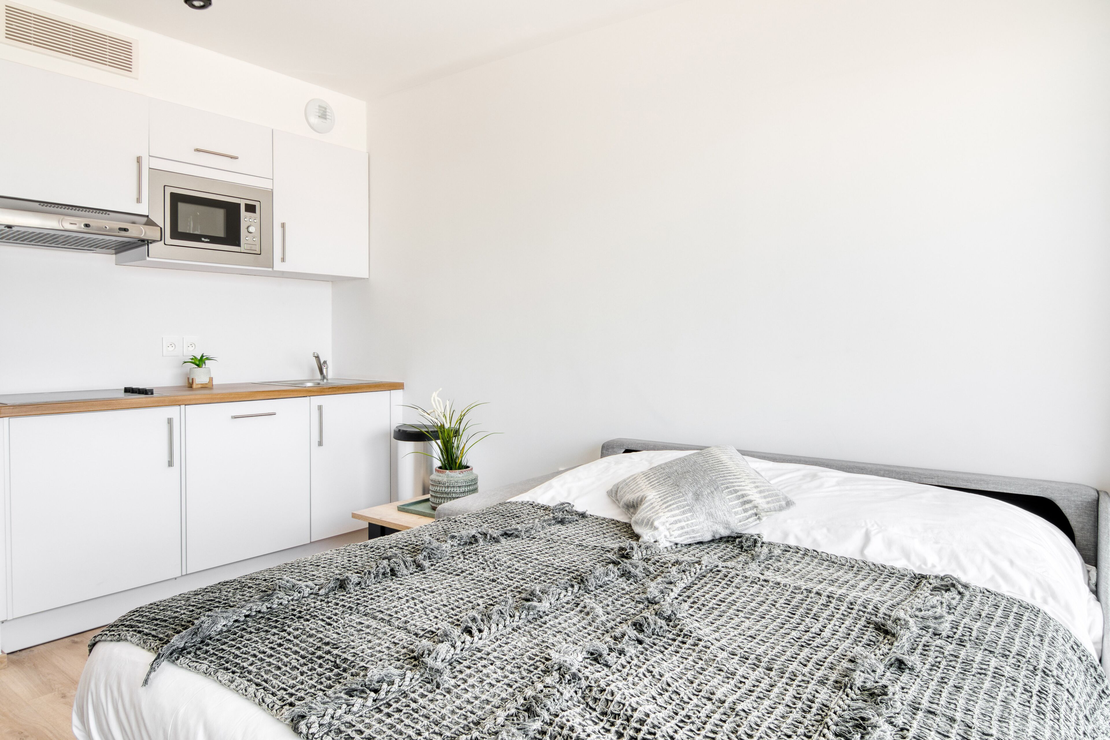 A modern bedroom with a bed, a bedside table with a plant, and a kitchenette with a microwave.