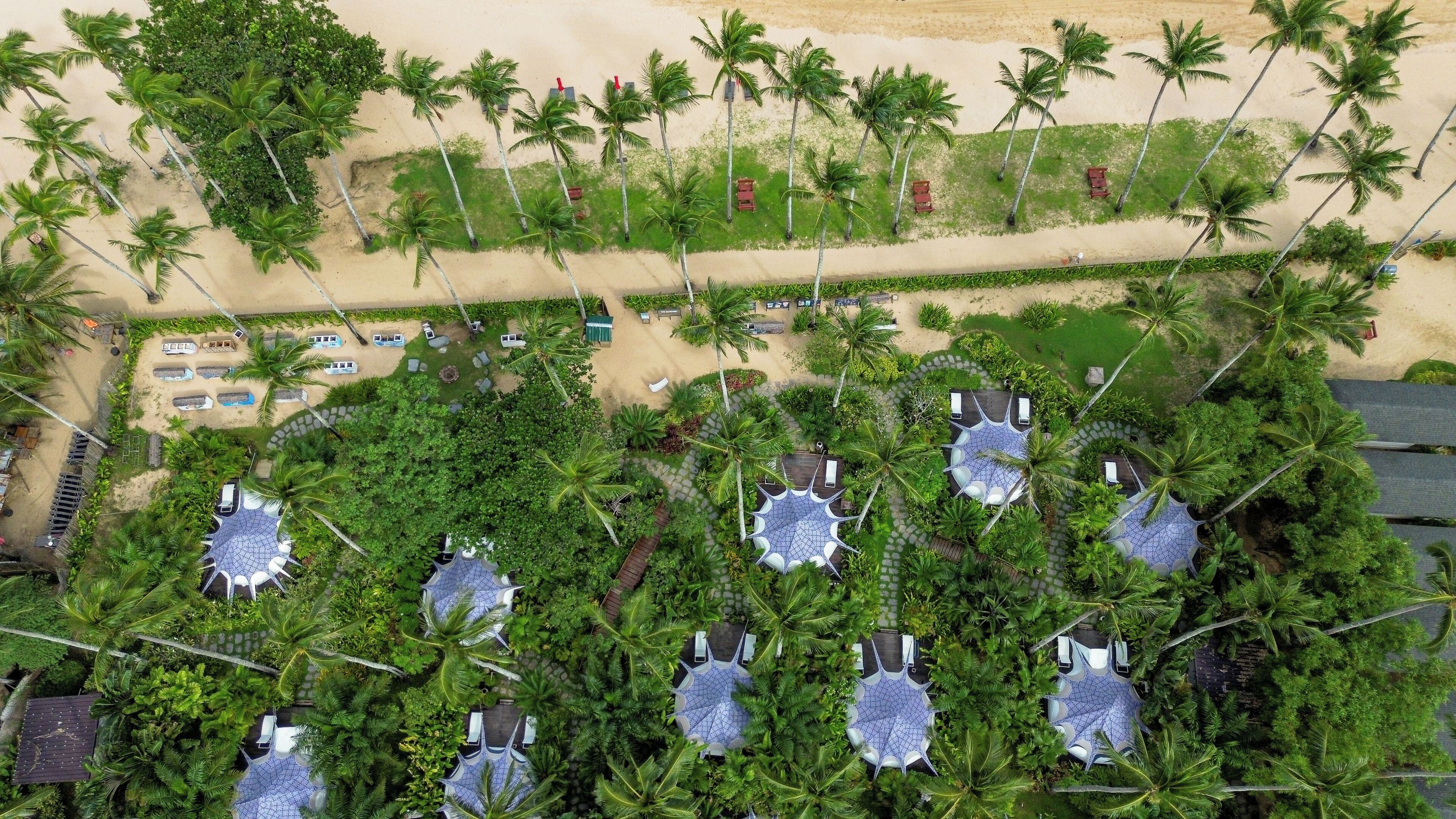 An aerial view of a resort with palm trees, a beach, and multiple outdoor seating areas.