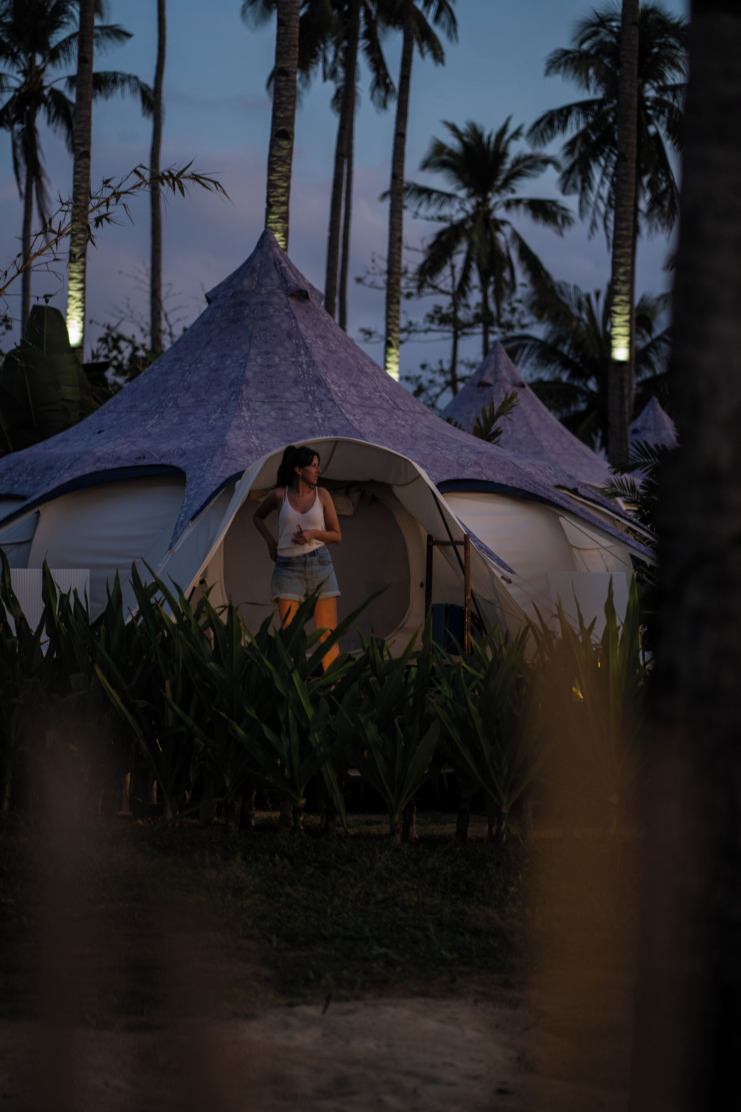 A tent with a thatched roof, surrounded by palm trees and vegetation.