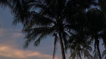 Una playa con palmeras y vista al océano.