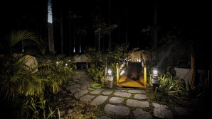 A stone pathway leading to a building entrance at night, surrounded by tropical vegetation and illuminated by several ground lights. - Nacpan Beach Glamping Managed by H Hospitality (El Nido)