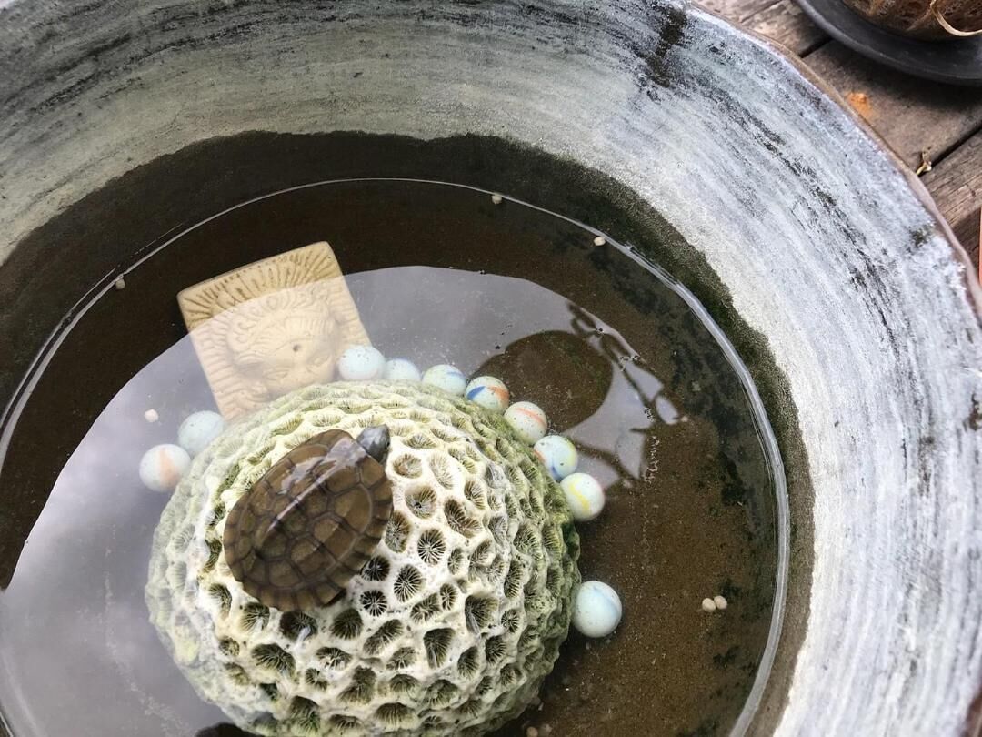 餐廳