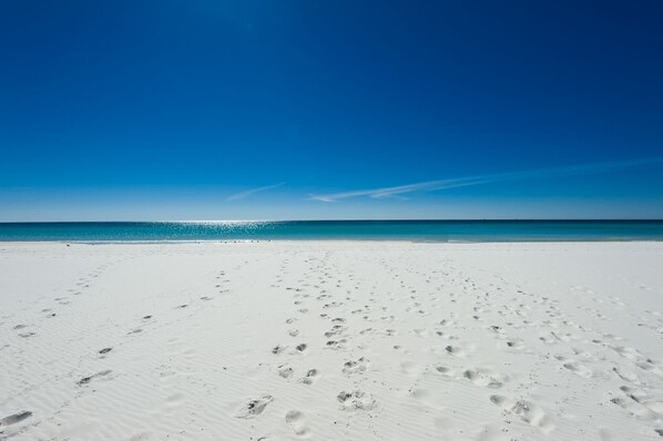 On the beach, sun-loungers - Pelican Beach Resort, Directly on the Beach w/breathtaking View (DESTIN)