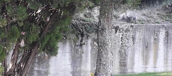 La Casa nel Verde