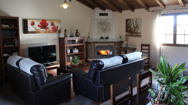 Una sala de estar con chimenea, sofás de cuero, un televisor y estanterías.