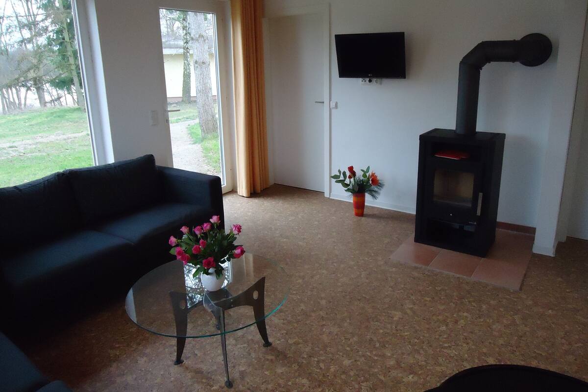 A living room with a sofa, a glass coffee table with flowers, a TV, and a wood-burning stove.