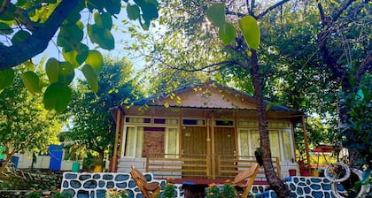 JJ's Village - Eco Resort