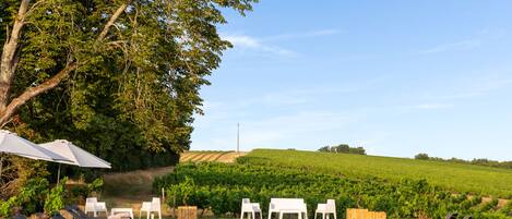 Alberca al aire libre por temporada