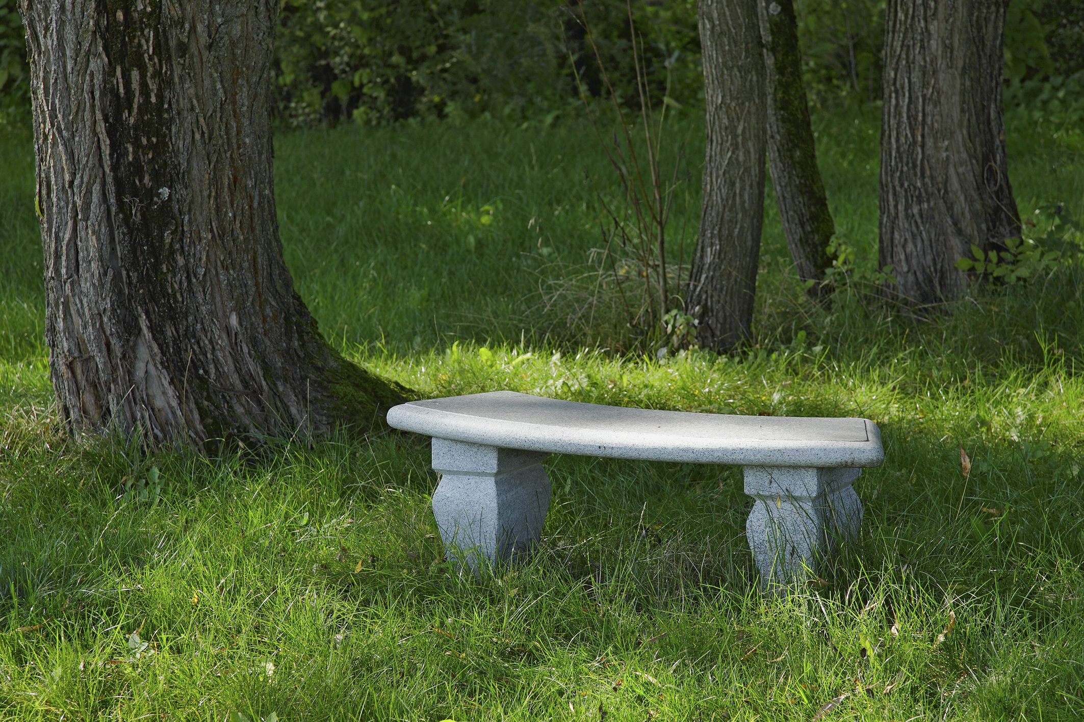 Un banc en pierre, situé dans un espace verdoyant, avec des arbres en arrière-plan.