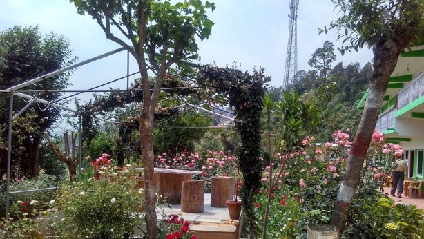 Un jardín con un arco de madera, escalones que conducen a una zona de estar y diversas plantas y flores.