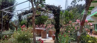 StayApart - Maa Anadmayee Guest House