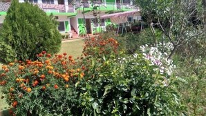 Un edificio de varios pisos con una combinación de colores verde y blanco, rodeado de abundante vegetación y plantas con flores.
