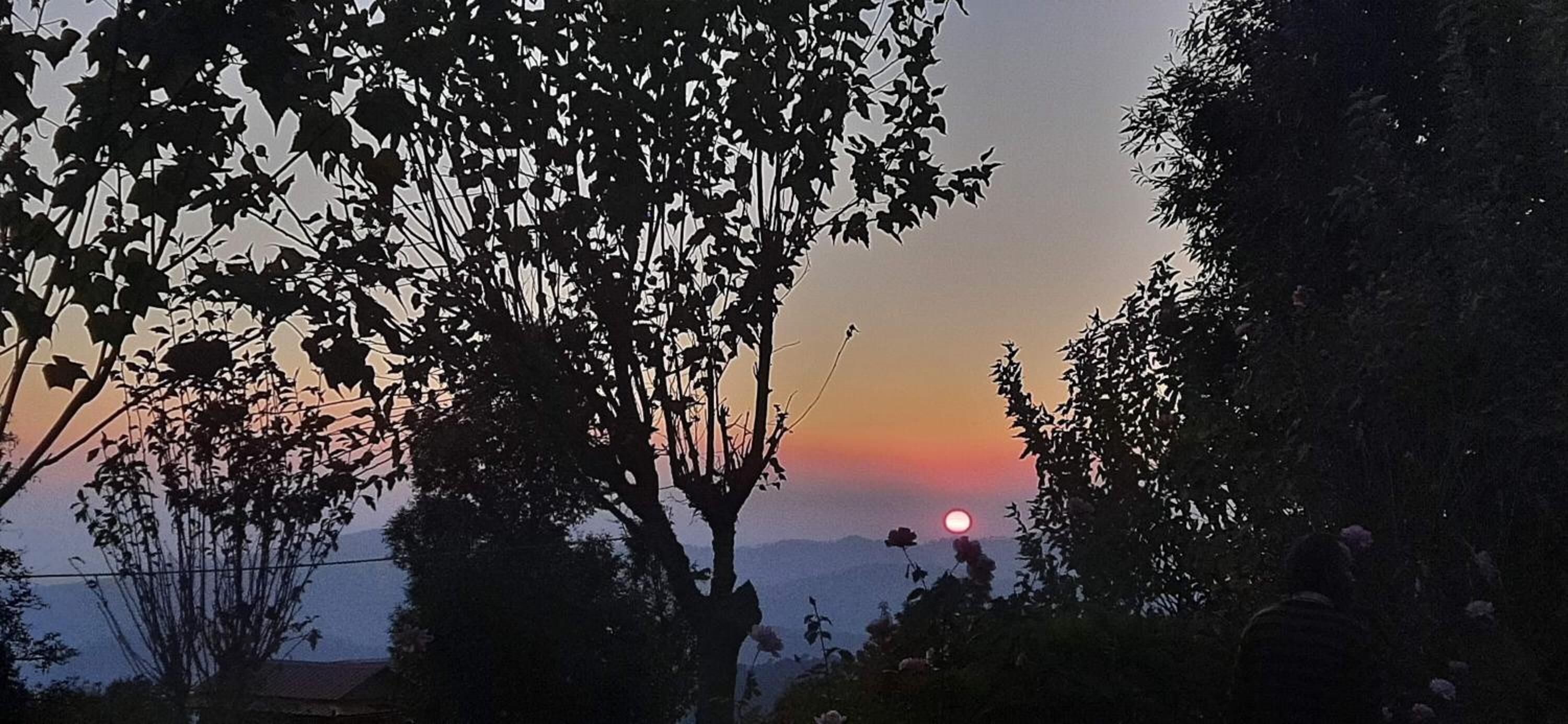 A sunset with silhouettes of trees and a mountain range in the background.