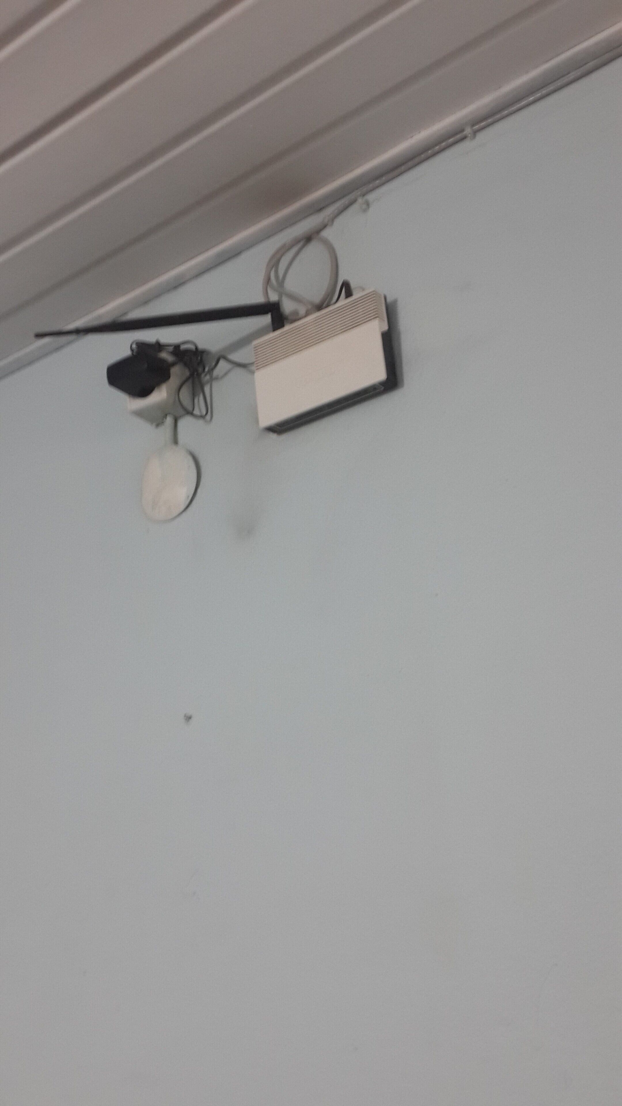 Techo con ventilador, lámpara e detector de humo.