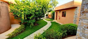 Superior-huone, 1 suuri parisänky, tupakointi kielletty, näköala puutarhaan | Minibaari, tallelokero huoneessa, yksilöllisesti sisustettu