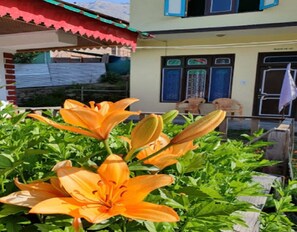 Property grounds - StayApart - Shruti Guest House (Sangla)