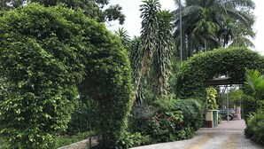 A paved pathway with a tactile paving strip, surrounded by lush greenery and palm trees. - Elais Kinshasa (Kinshasa)