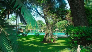 A lush garden with a swimming pool, surrounded by trees and greenery. - Elais Kinshasa (Kinshasa)