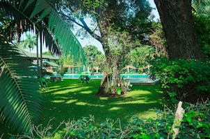 Jardín