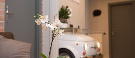 A white car parked inside a building with a potted orchid on a table.