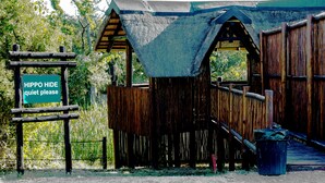 A rustic wooden structure with a sign that reads "HIPPO HIDE quiet please."