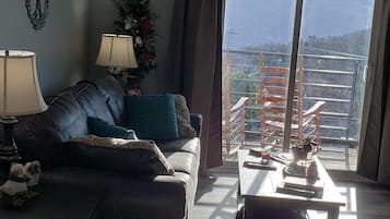 Älytelevisio, takka, DVD-soitin, kirjoja