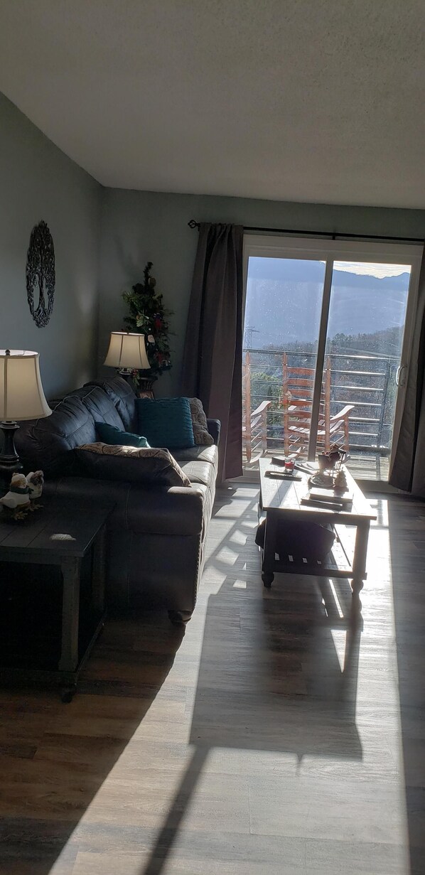 Smart TV, chimenea, reproductor de DVD y libros 