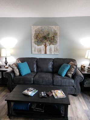 Smart TV, fireplace, DVD player, books