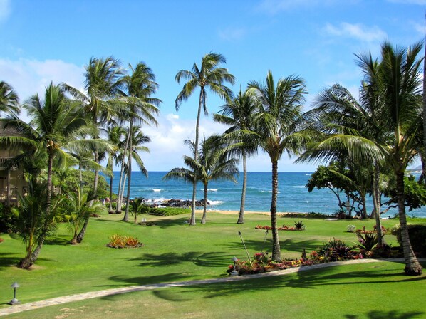 Property grounds - Lae Nani 423, Stunning Oceanfront View, Newly Remodeled In Tasteful Island Decor (Kapaa)