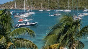 Un port esportiu amb diverses embarcacions amarrades, envoltat de palmeres.