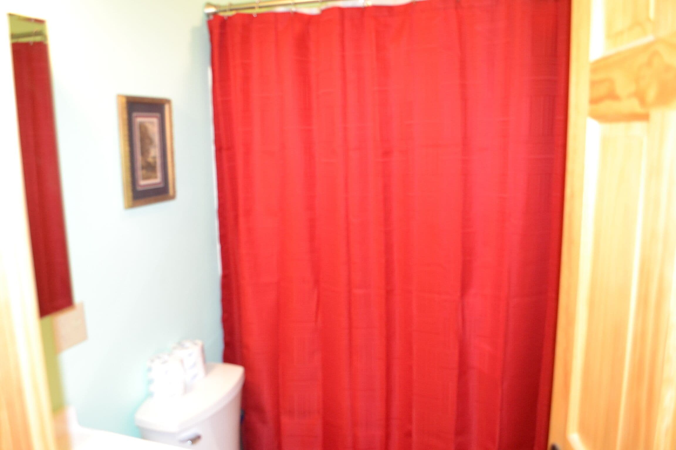 Un baño con cortina de ducha roja, inodoro blanco y un cuadro en la pared.