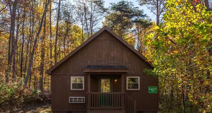 Blue Rose Cabins - Naughty Pine Cabin