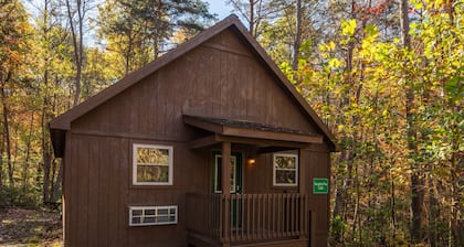 Blue Rose Cabins - Naughty Pine Cabin