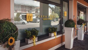 A storefront with the sign "TERRA FERMA rooms & more" and potted plants with yellow ribbons. - Terra Ferma Rooms & More (Salzano)