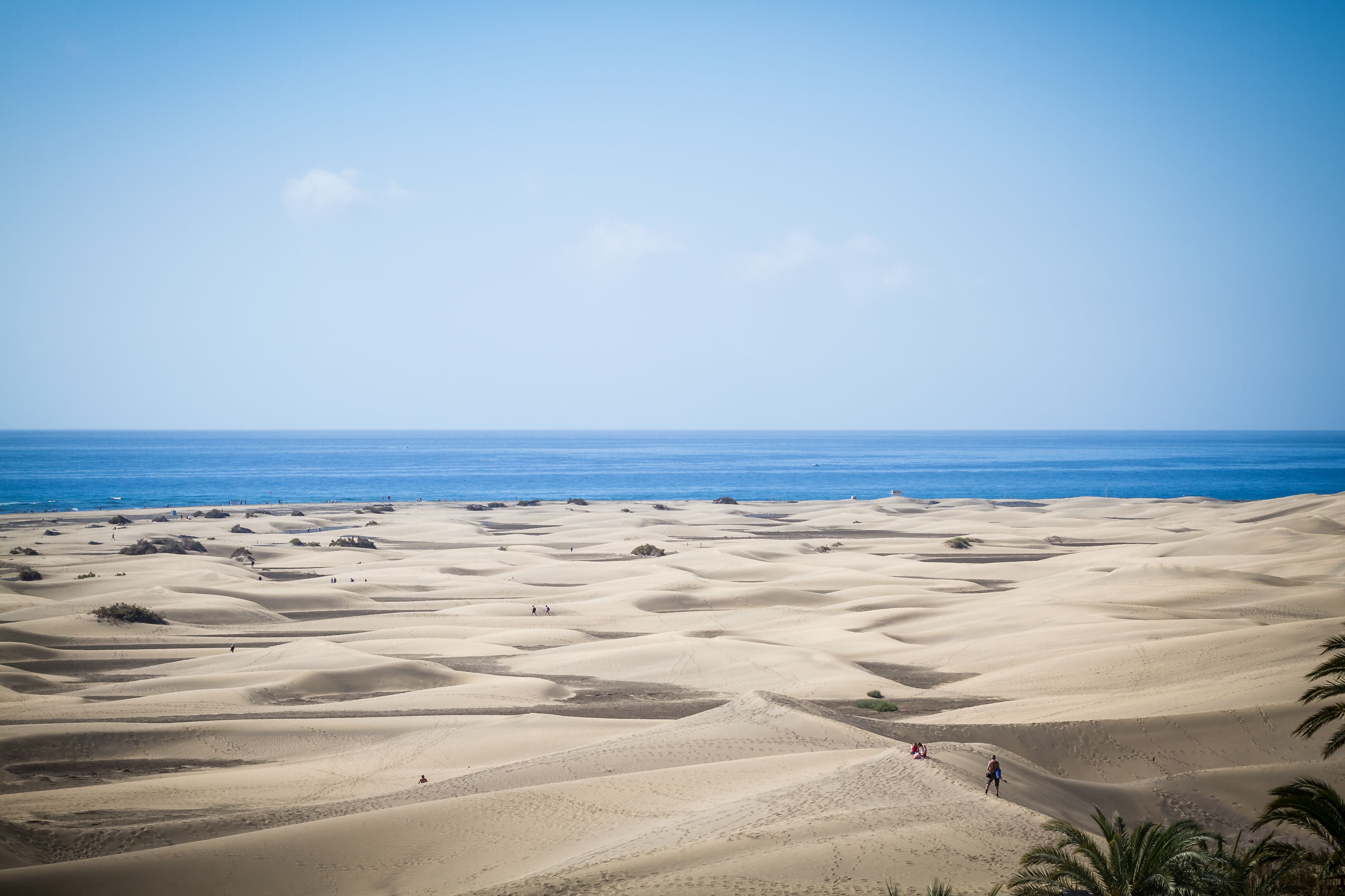 Foto - Alsol Don Palomón