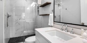 Features a sleek sink, large mirror, glass-enclosed shower, and toilet.
