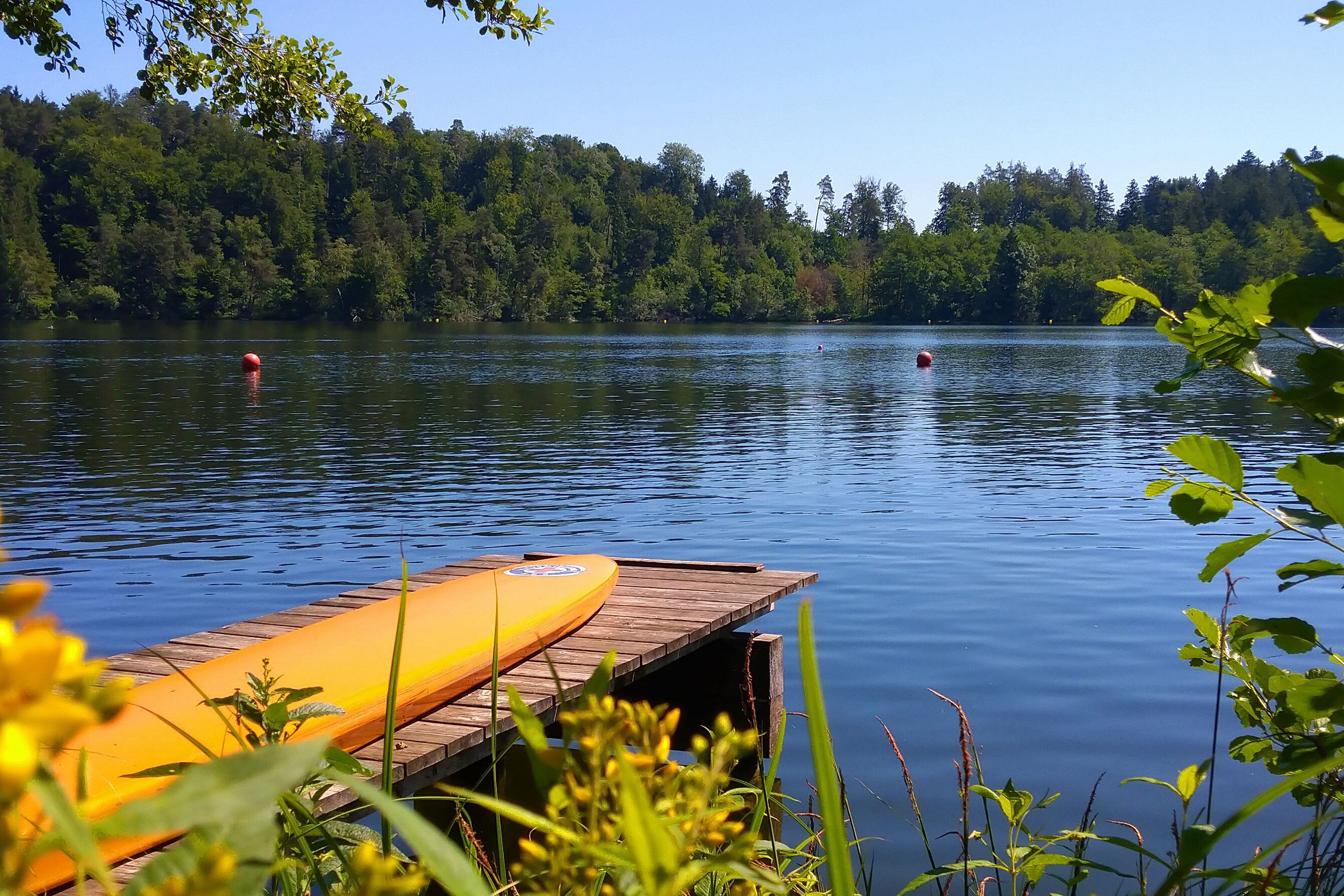 Une jetée en bois avec un kayak jaune, entourée de verdure et bordant un lac paisible.