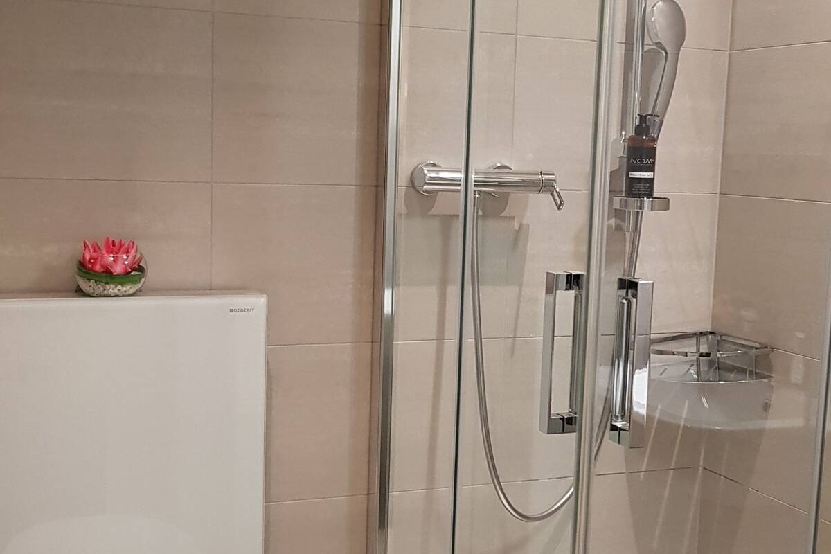 basic double room | bathroom | shower, rainfall showerhead, designer toiletries, hair dryer