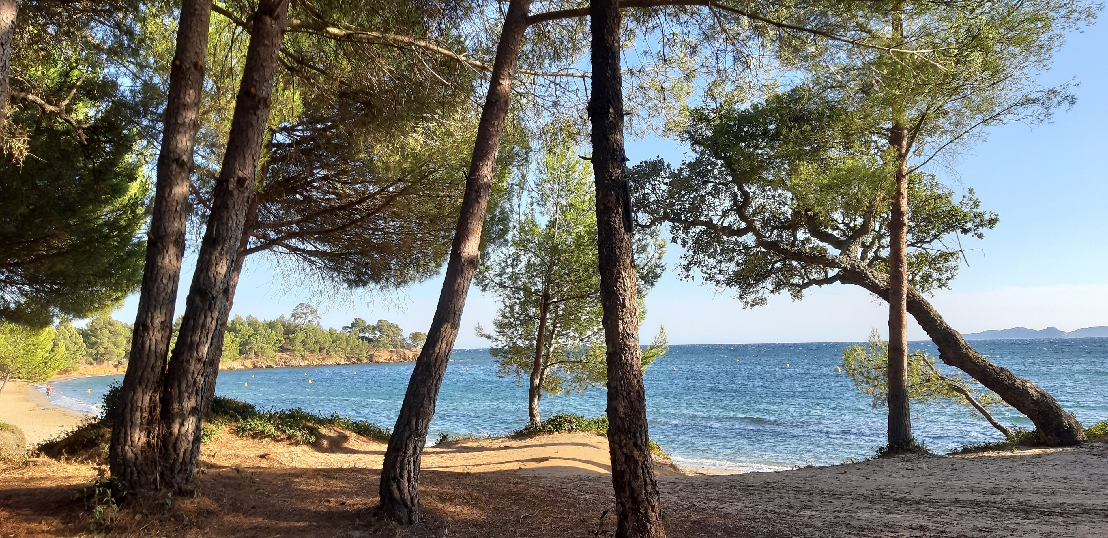 Plage à proximité