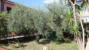 Ein Garten mit verschiedenen Pflanzen und einer Palme.