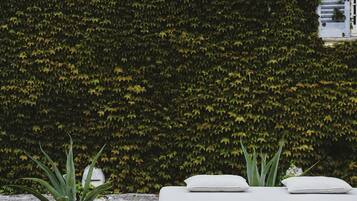 A white outdoor seating area with a bench and cushions, surrounded by a hedge wall and a window with shutters.