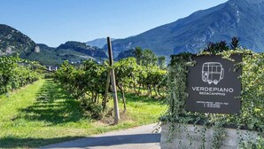 A vineyard entrance with a sign for 'VERDEPIANO BED&CAMPING' indicating an annual open all year event. - Verdepiano Bed&Camping (Riva del Garda)
