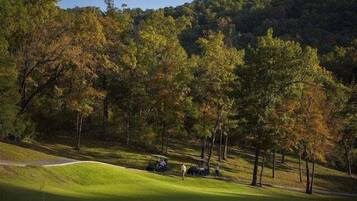 Condo, 3 Bedrooms | Golf