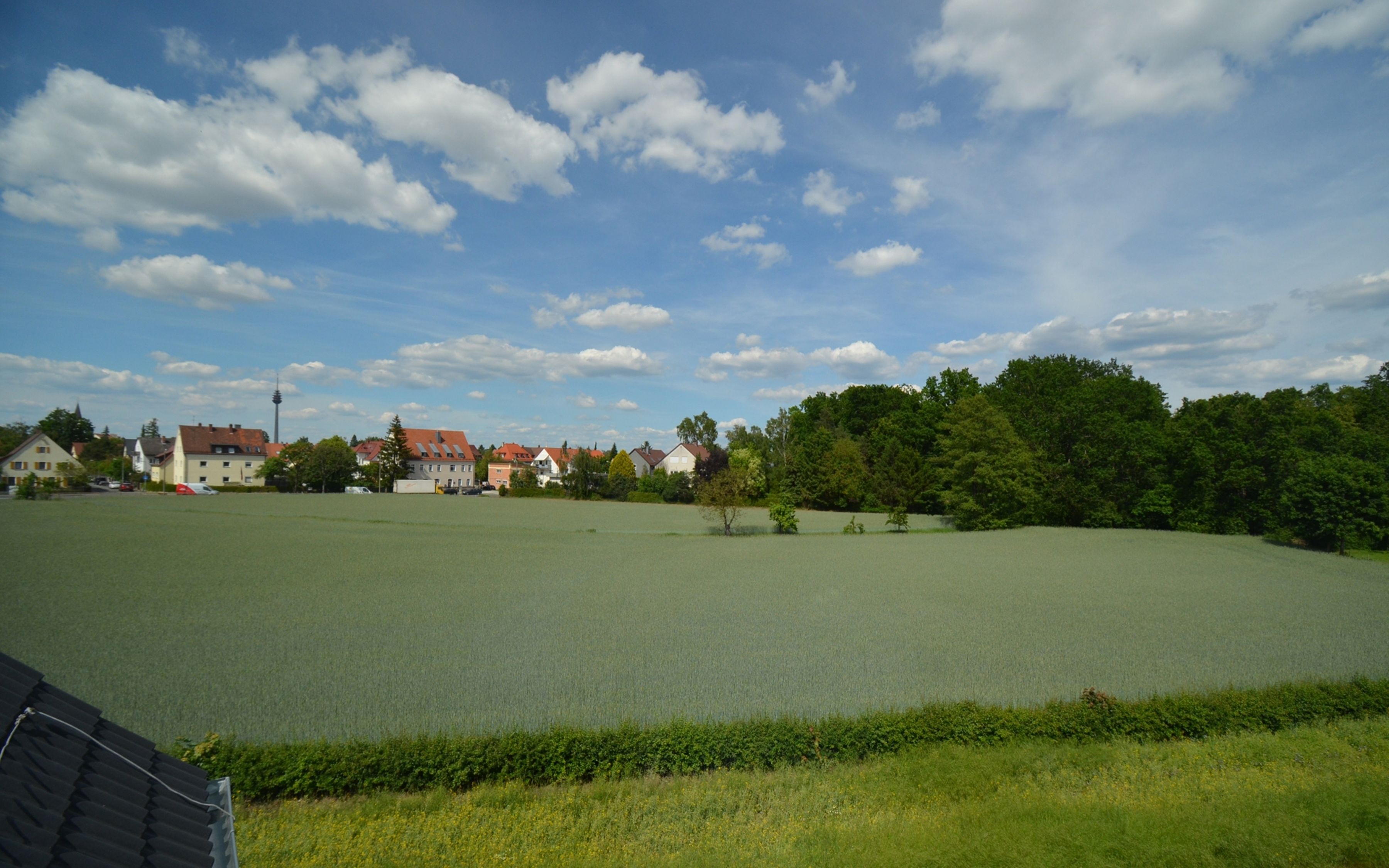 A large open field with a body of water, surrounded by trees and buildings.